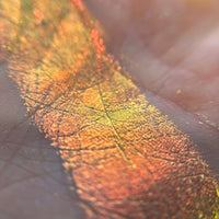 Marigold Enchanted Garden Multichrome Pressed Eyeshadow - Ensley Reign Cosmetics