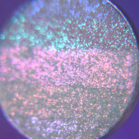 Reignbow Starseed Highlighter - Ensley Reign Cosmetics